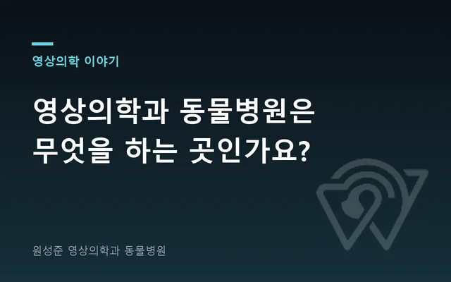 영상의학과 동물병원은 무엇을 하는 곳인가요?
