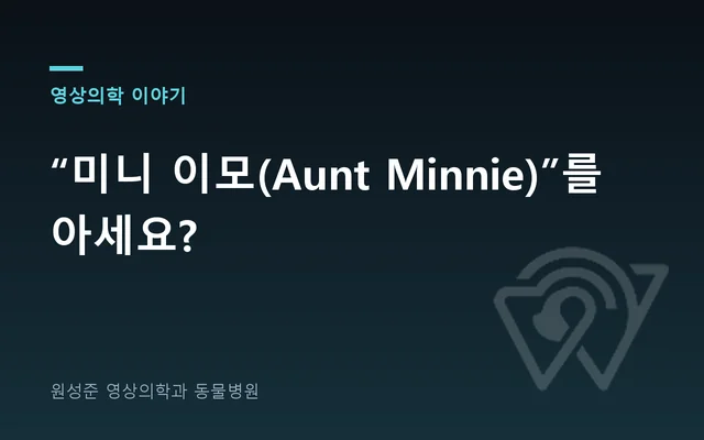 “미니 이모(Aunt Minnie)”를 아세요?