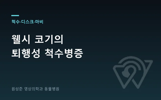 웰시 코기의 퇴행성 척수병증