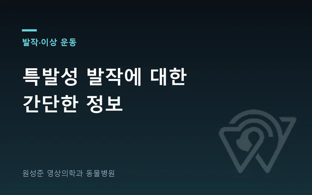특발성 발작에 대한 간단한 정보