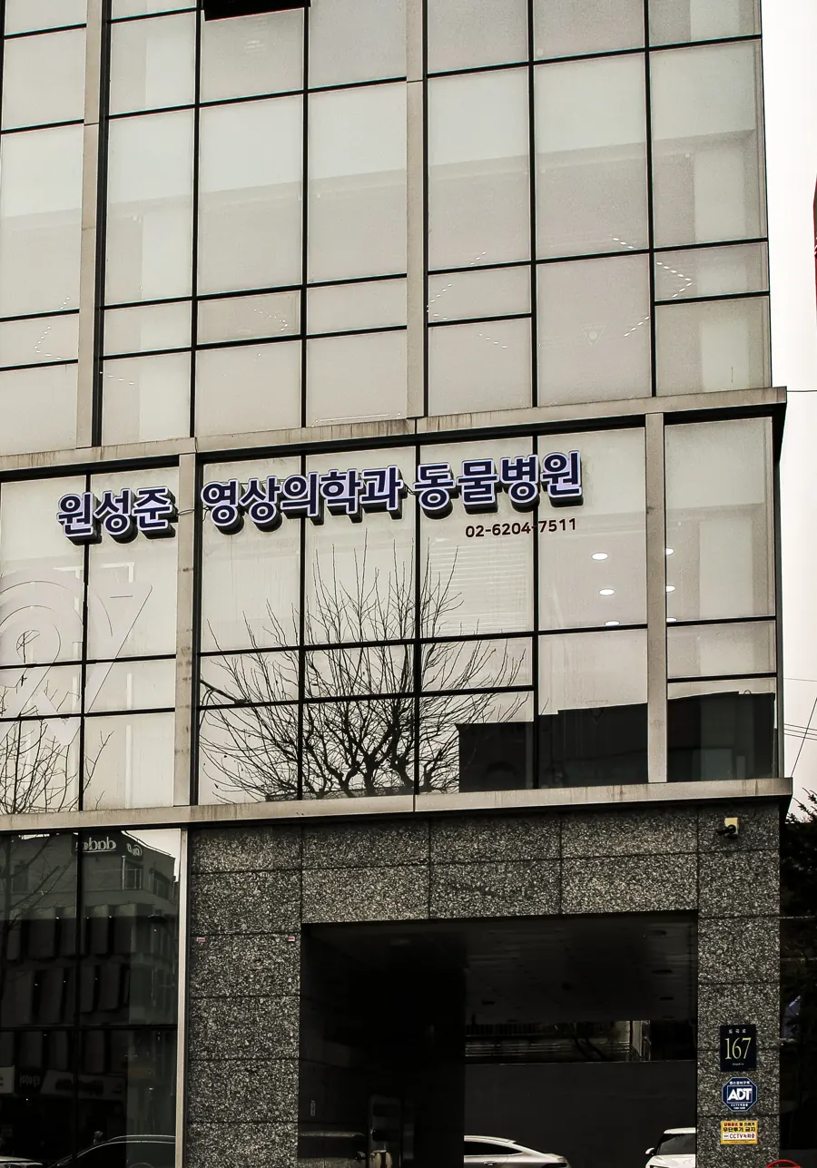 성우빌딩 외관 — 2층 유리창에 ‘원성준 영상의학과 동물병원’ 간판, 1층 오른쪽이 주차장 입구
