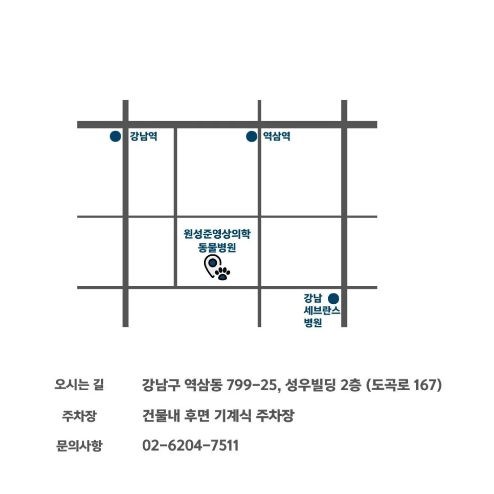약도 — 강남역·역삼역 아래, 도곡로 변 원성준 영상의학과 동물병원, 오른쪽 아래 강남세브란스병원